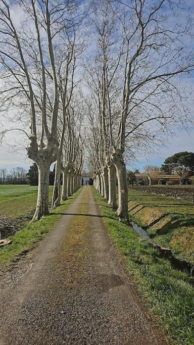 Hebergement - Canal Du Midi Saint-Martin-Lalande Bagian luar foto